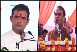 objectionable remarks on Rahul Gandhi