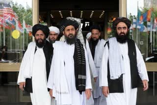 Taliban urge Afghan professors to return home to help rebuild Afghanistan