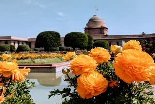 मुगल गार्डन (फाइल फोटो)