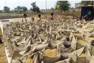 Corruption in paddy purchase in Janjgir Champa