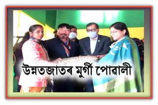 Minister Atul Bora distributed poultry to 250 women beneficiaries