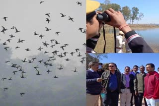 census-of-aquatic-birds-in-jharkhand-under-asian-waterbird-census-2022