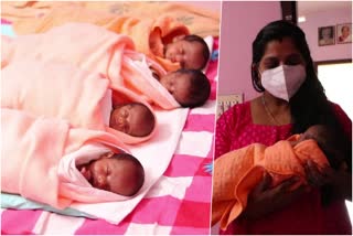 kottayam woman quadruplets  woman gives birth to quadruplets in kottayam  കോട്ടയം നാല് കുട്ടികള്‍  അതിരമ്പുഴ ഒറ്റ പ്രസവം നാല് കുട്ടികള്‍