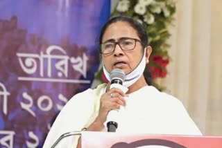 Mamata Banerjee North Bengal News