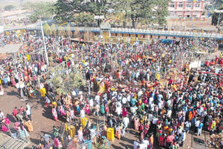 Sammakka-Saralamma Jatara