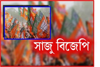 declaration-of-municipal-election-2022-candidate-list-by-bjp