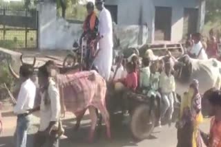 Lord Devnarayan procession came out of bullock cart in Bhilwara