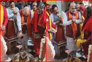 amit shah datia pitambara peeth visit to worship devi mata after up election campaign home minister amit shah to reach mp