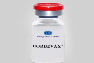 Corbevax Breaking News