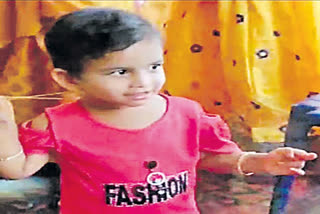 child died falling in sambar