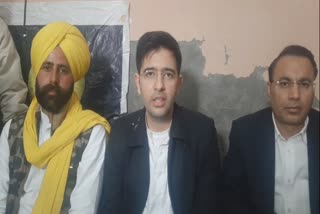 aap punjab co in charge raghav chaddha