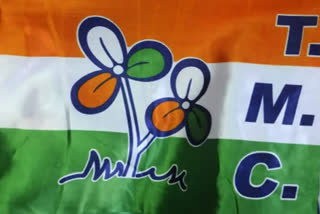 Goa Assembly polls: TMC says it will win 12 seats, ally MGP 7