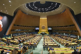 The world needs to hold masterminds of terrorist plots accountable for their deeds and "call their bluff" and it is equally important that they are not allowed to mislead the international community by painting themselves as "victims of terrorism", India has said at the UN, in a veiled reference to Pakistan