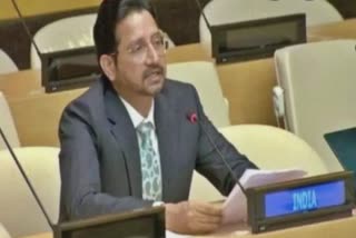 India Slams Pakistan At UN: ભારતે UNમાં પાકિસ્તાનને લીધું આડેહાથ, કહ્યું- સૌ જાણે છે મુંબઈ-પુલવામાના હુમલાખોરો ક્યાંથી આવ્યા હતા