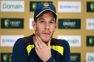 Tim Paine returns from 'indefinite break', this time in coaching capacity: Report