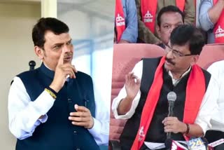 fadnavis and raut file photo