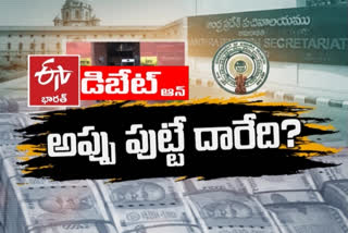 DEBATE ON AP Debts