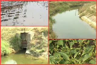 Farmers face Problems with no sufficient water at prakasam