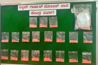 Yaba tablets seized by Bengaluru police, Bengaluru drugs case, Bengaluru crime news, ಯಾಬಾ ಮಾತ್ರೆಗಳು ಪೊಲೀಸ್ ವಶ, ಬೆಂಗಳೂರಿನಲ್ಲಿ ಯಾಬಾ ಮಾತ್ರೆಗಳು ಪೊಲೀಸ್ ವಶ, ಬೆಂಗಳೂರು ಅಪರಾಧ ಸುದ್ದಿ, ಬೆಂಗಳೂರು ಡ್ರಗ್ಸ್​ ಪ್ರಕರಣ,