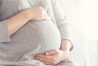 Scientists find out how COVID causes stillbirths  covid causes pregnancy complications  covid causes still birth  കൊവിഡ് ഗര്‍ഭസ്ഥ ശിശുമരണത്തിന് കാരണമാകും  കൊവിഡ് സൃഷ്ടിക്കുന്ന പ്രസവ ബുദ്ധിമുട്ടുകള്‍  കൊവിഡുമായി ബന്ധപ്പെട്ട പഠനം