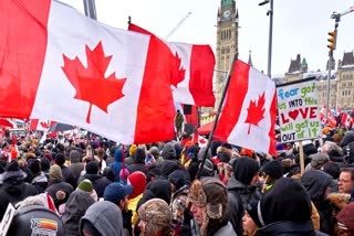 കാനഡ പ്രതിഷേധം  കാനഡ അടിയന്തരാവസ്ഥ  hindu organisation on canada protest  canada national emergency  hindu organisation letter to canada pm  സംഘടന അഭ്യര്‍ഥന ജസ്റ്റിന്‍ ട്രൂഡോ