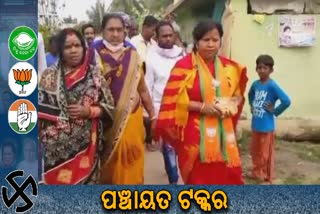 Panchayat Election: ଗୋପ ଓ ନିମାପଡାରେ ଜମିଲା ପ୍ରଚାର