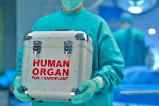 Organ transplant surgeries