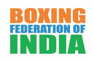 National camps for boxing, Asian Youth and Junior Championships, Indian boxing news, National camp in Bhopal, Boxing training camp