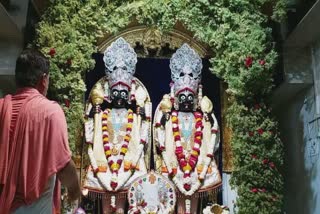 Decoration in Junagadh Swaminarayan Temple: જૂનાગઢમાં ઠાકોરજીને કરાયો લીલી વરિયાળીનો શણગાર