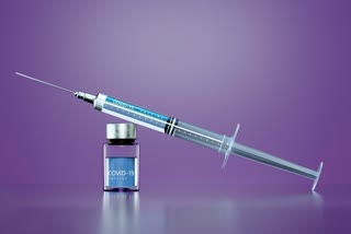 Quality of antibodies improves for months after COVID-19 vaccination, covid 19 vaccination study, are covid vaccines effective, Pfizer BioNTech vaccine