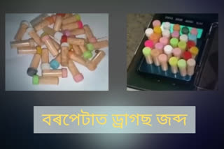 Assam Police raid against Drugs