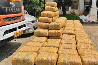 rs-2-crore-worth-of-cannabis-seized-in-thanjavur