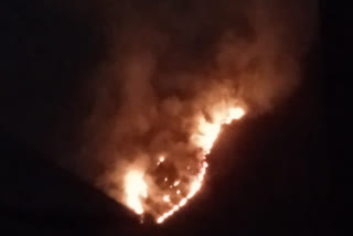 fire broke out in tral forests