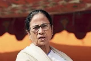 cm Mamata Banerjee