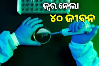 Lassa Fever: ଜାଣନ୍ତୁ କାରଣ ଓ ନିରାକରଣ