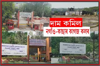 price-of-paper-mills-in-nagaon-and-cachar-has-come-down-again