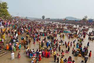 सारक्का-सम्मक्का वनदेवातांची जत्रेला गर्दी