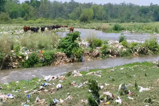 suswa river doiwala