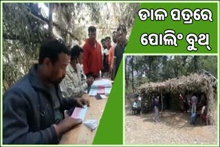 Different Polling Booth: ଡାଳପତ୍ରରେ ତିଆରି ଅସ୍ଥାୟୀ ବୁଥ୍