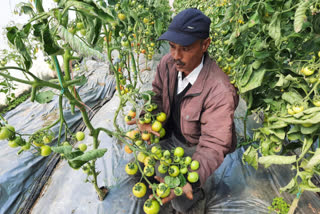 farmer Virendra singh