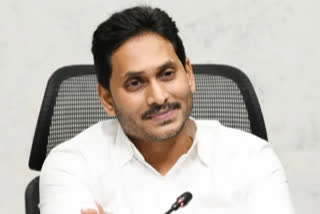 CM Jagan tour in kadapa and vishakapatnam on sunday