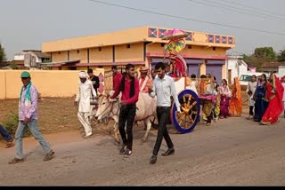 barat on bullock cart in Balod