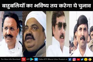 बाहुबली चुनाव, मुख्तार अंसारी, अभय सिंह  lucknow latest news  etv bharat up news  UP Assembly Election 2022  Uttar Pradesh Assembly Election 2022  UP Election 2022 Prediction  UP Election Results 2022  UP Election 2022 Opinion Poll  UP 2022 Election Campaign highlights  UP Election 2022 live  UP Election 2022 Prediction  UP Election Results 2022  UP Assembly Elections 2022  UP Election 2022  मुख्तार, धनजंय, अभय सिंह  बाहुबलियों का भविष्य तय करेगा ये चुनाव  This election will decide the future of Bahubalis  Mukhtar Dhanjay Abhay Sin  उत्तर प्रदेश के विधानसभा चुनाव  बाहुबलियों की चर्चा  बाहुबलियों की धमक  यूपी चुनाव में बाहुबलियों की धमक  अतीक अहमद  मुख्तार अंसार  डीपी यादव  रमाकांत यादव  धनंजय सिंह  माफिया धनंजय सिंह  बाहुबली धनंजय सिंह  जौनपुर की मल्हनी सीट  अजित सिंह हत्याकांड  अभय सिंह समाजवादी पार्टी  अयोध्या जिले की गोसाईगंज सीट  बाहुबली खब्बू तिवारी  बाहुबली रमाकांत  बाहुबली रमाकांत यादव  फूलपुर पवई सीट  अब्बास अंसारी को सौंप  महराजगंज की नौतनवां सीट  बाहुबली अमरमणि त्रिपाठी  अमनमणि बसपा के उम्मीदवार  मधुमिता हत्याकांड  बाहुबली बृजेश सिंह