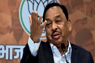 union minister narayan rane on disha salian in pc