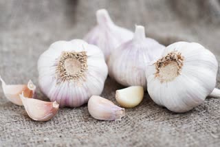 Amazing health benefits of garlic, medicinal properties of garlic, healthy vegetables, nutrients in garlic