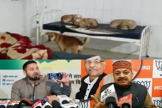 सिवान में अस्पताल के बेड पर कुत्ते