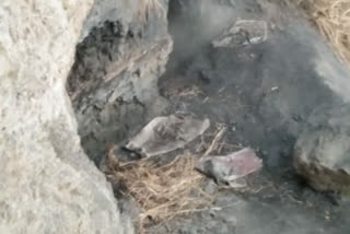 Illegal coal mines collapsed in Dhanbad