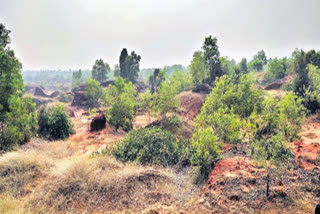 Bhogapuram Airport Lands