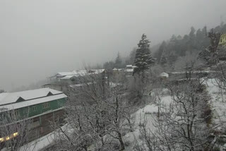 snowfall in kinnaur