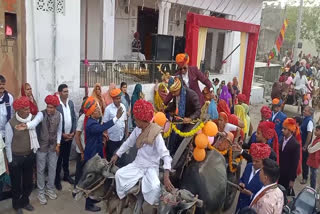 Procession Riding On Bullock Cart In Rajsamand